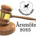 Årsmöte 2025