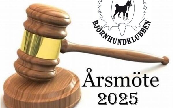 Årsmöte 2025