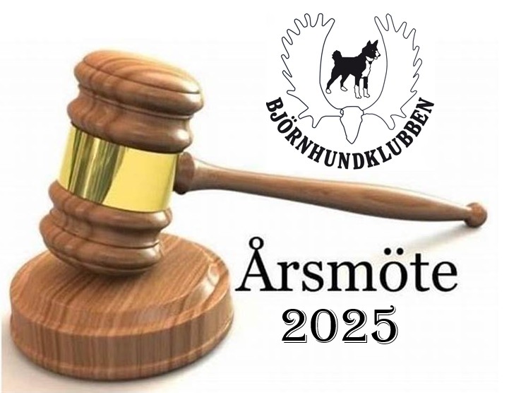 Årsmöte 2025