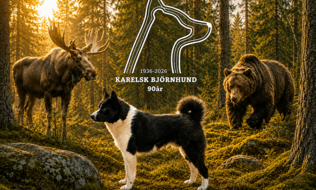 Jubileumskollektionen