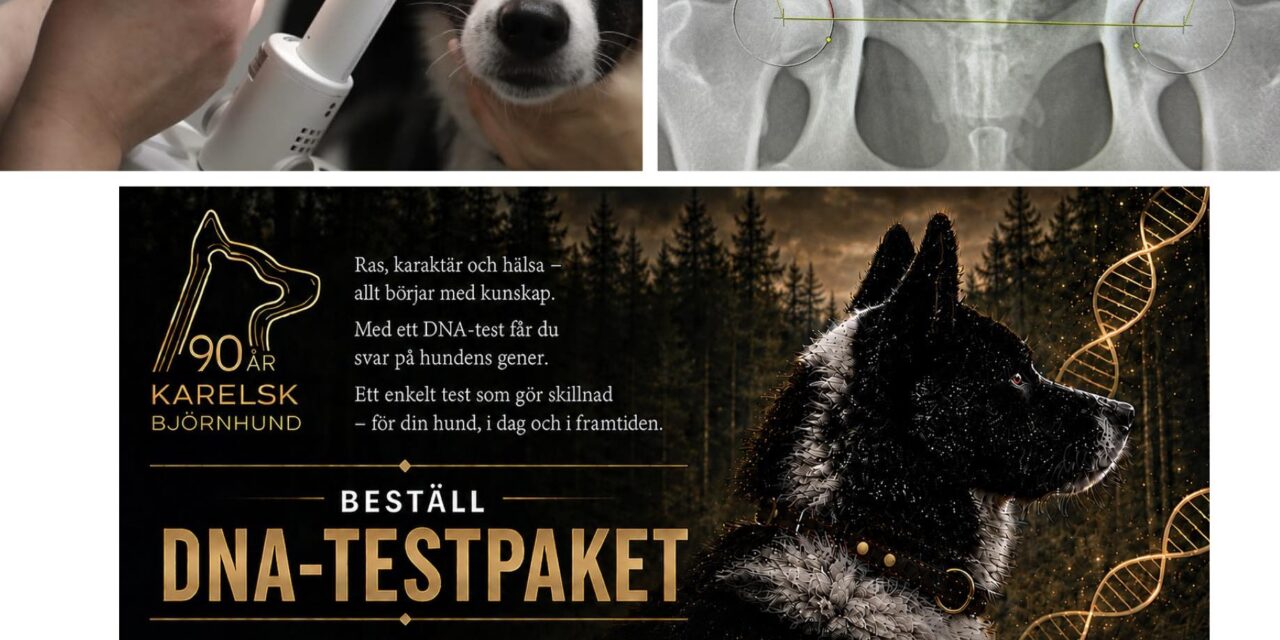 Kampanj Hälsa!