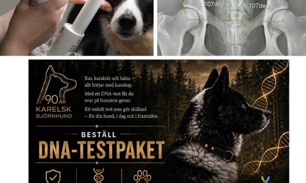 Kampanj Hälsa!