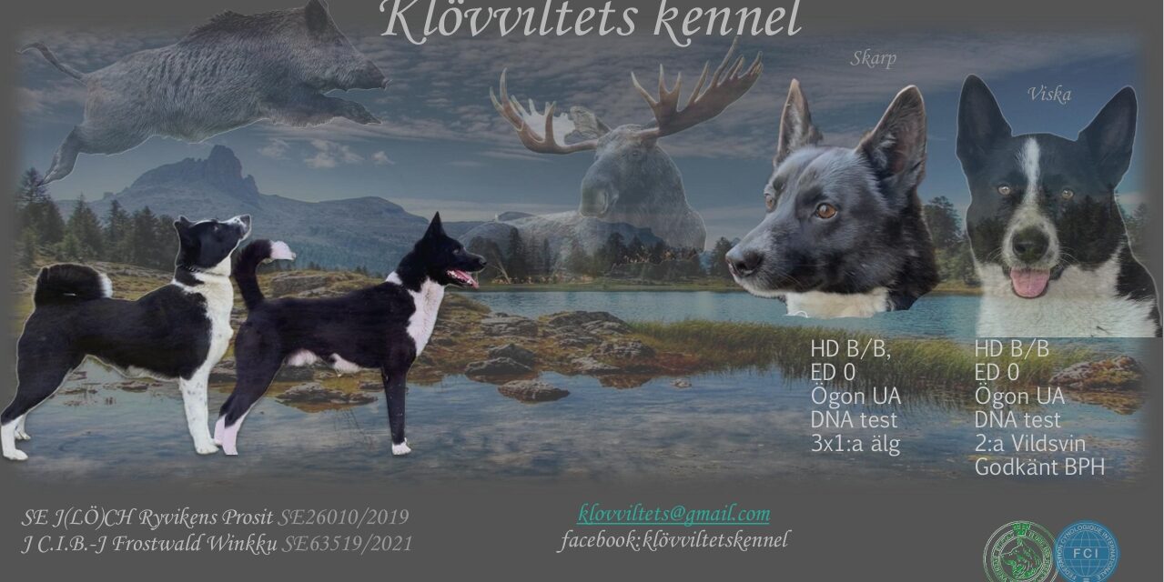 Valpar väntas vecka 34