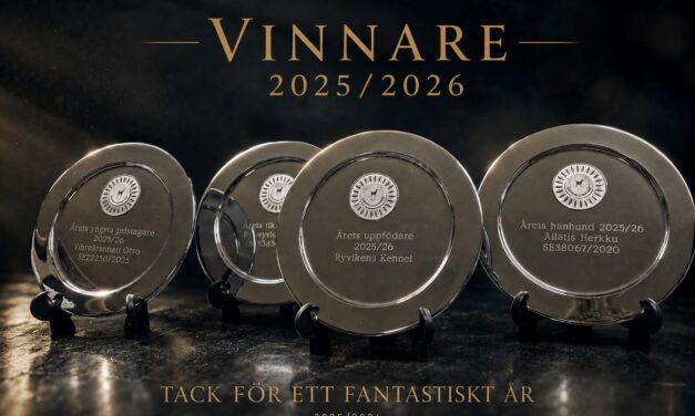 Vinnare av årspriser och vandringspriser säsongen 2025/2026